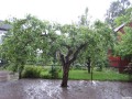 _MHBjornerud_1094