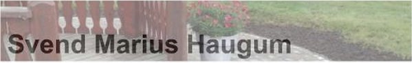 Svend Marius Haugum