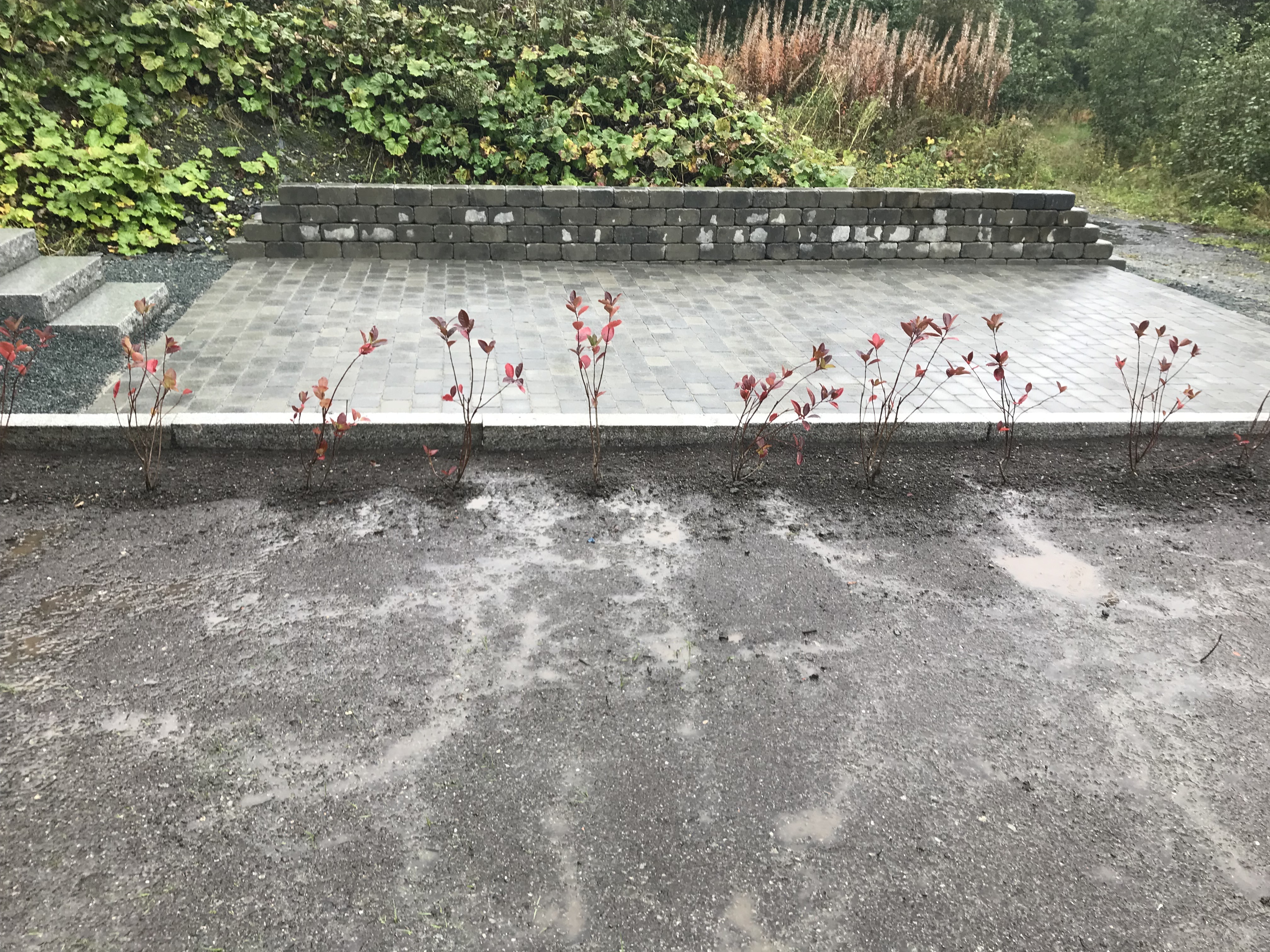IMG 3767