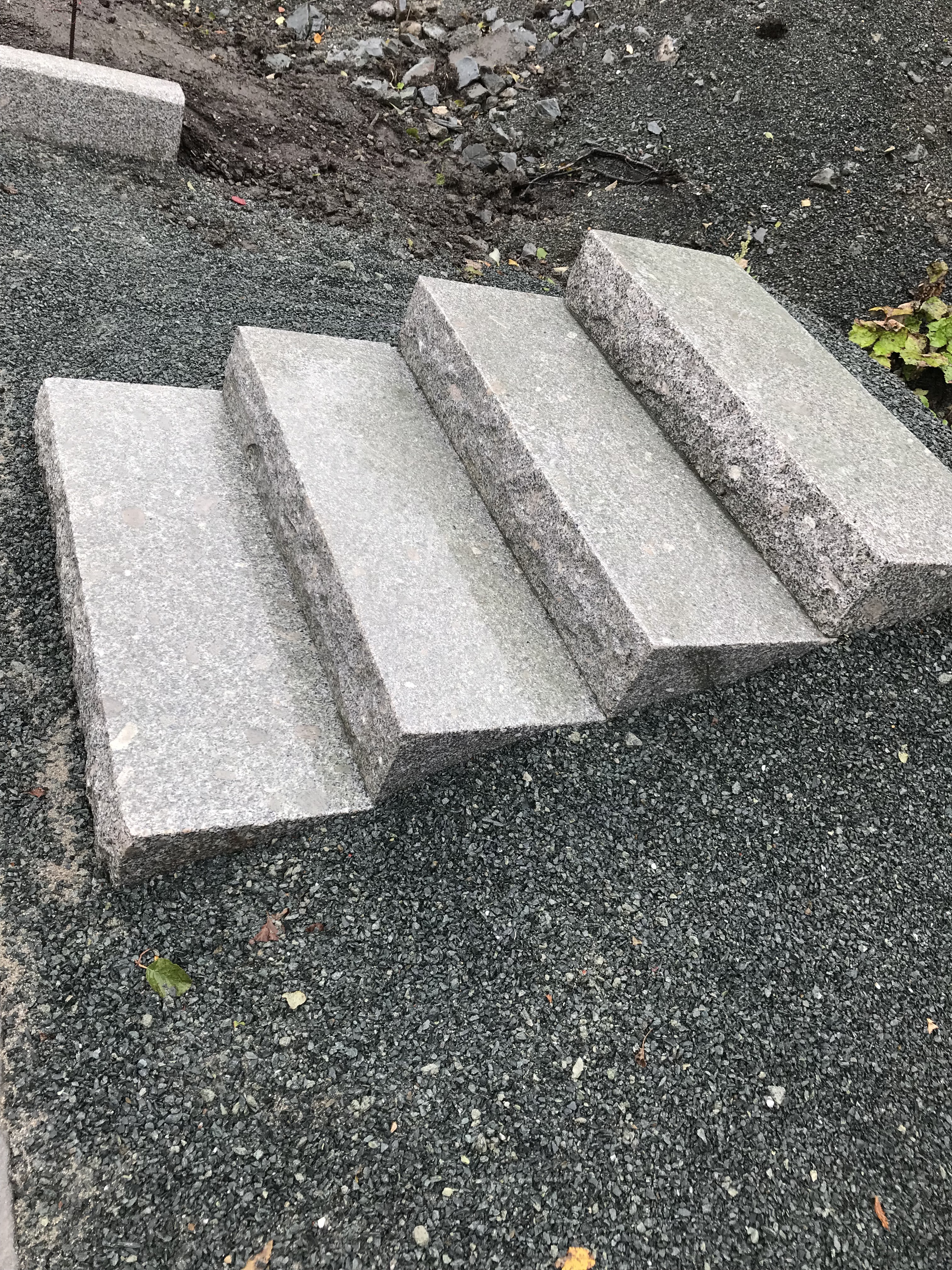 IMG 3767