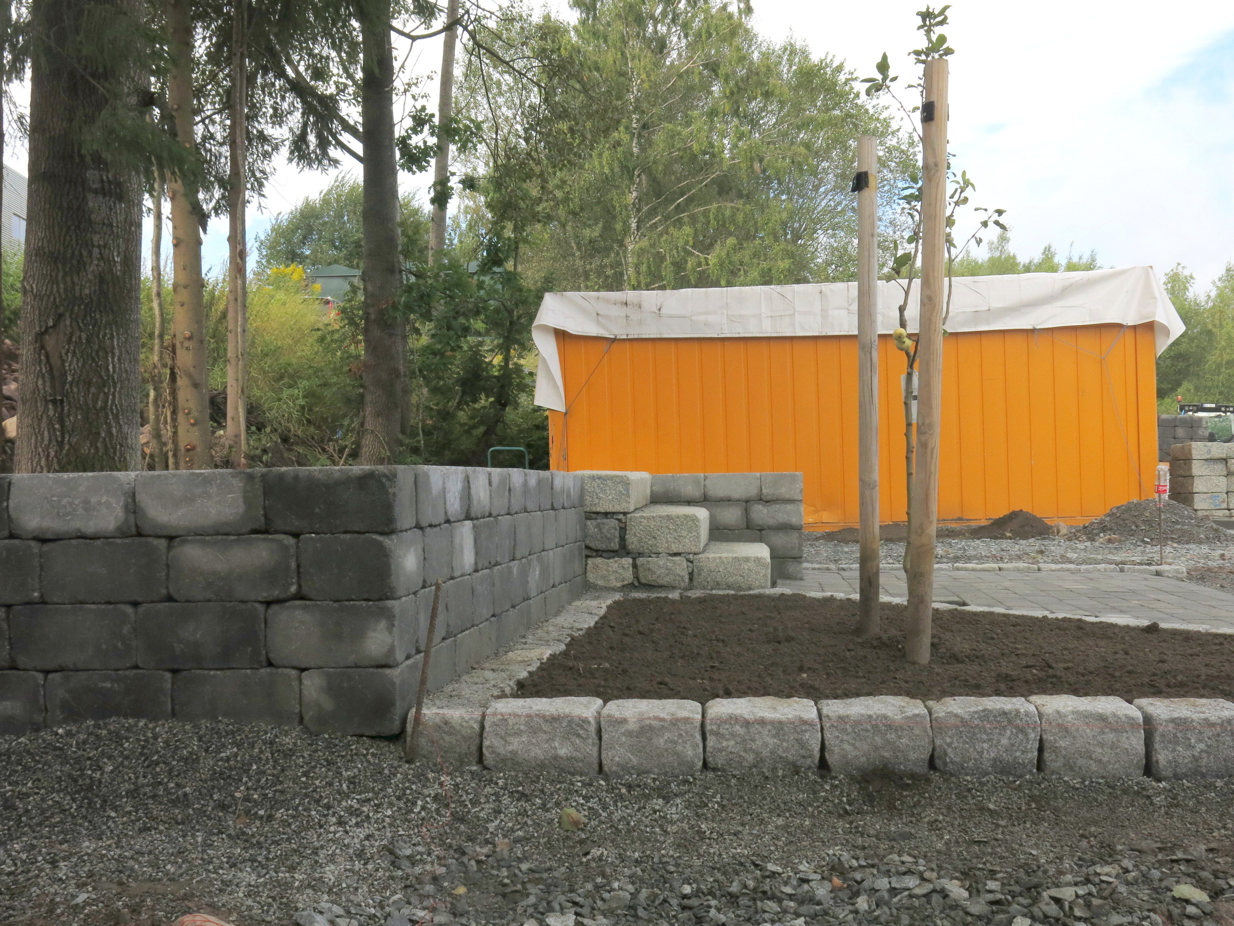 IMG 0383 001