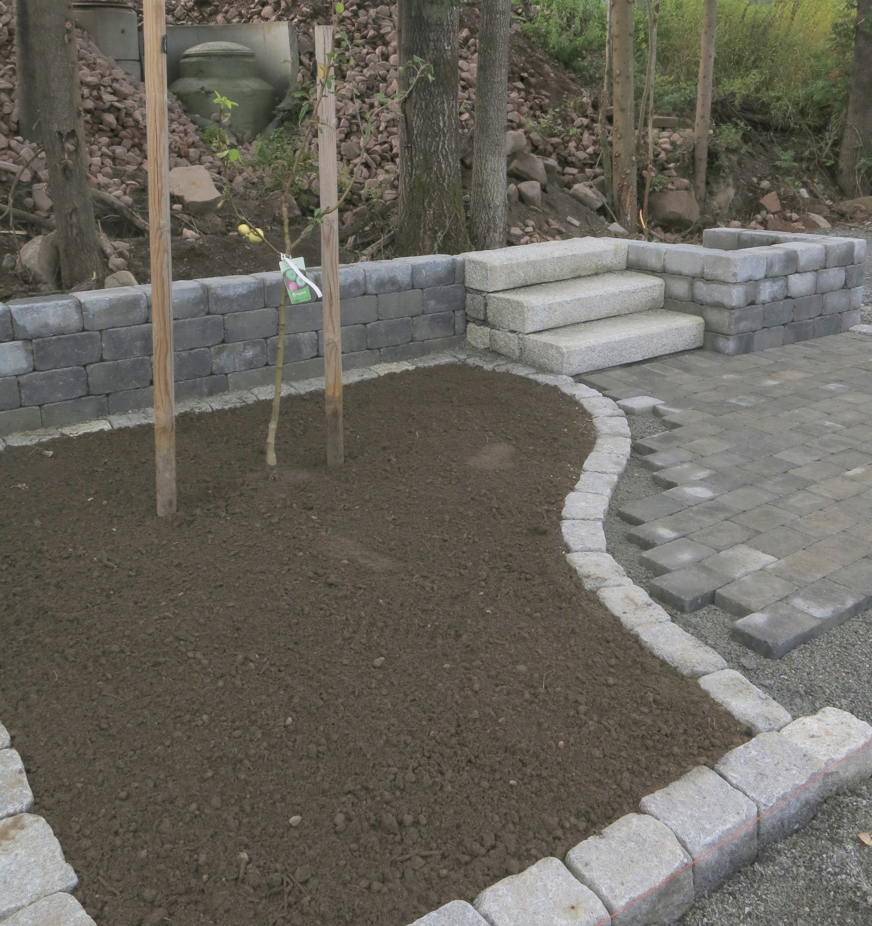 IMG 0383 001
