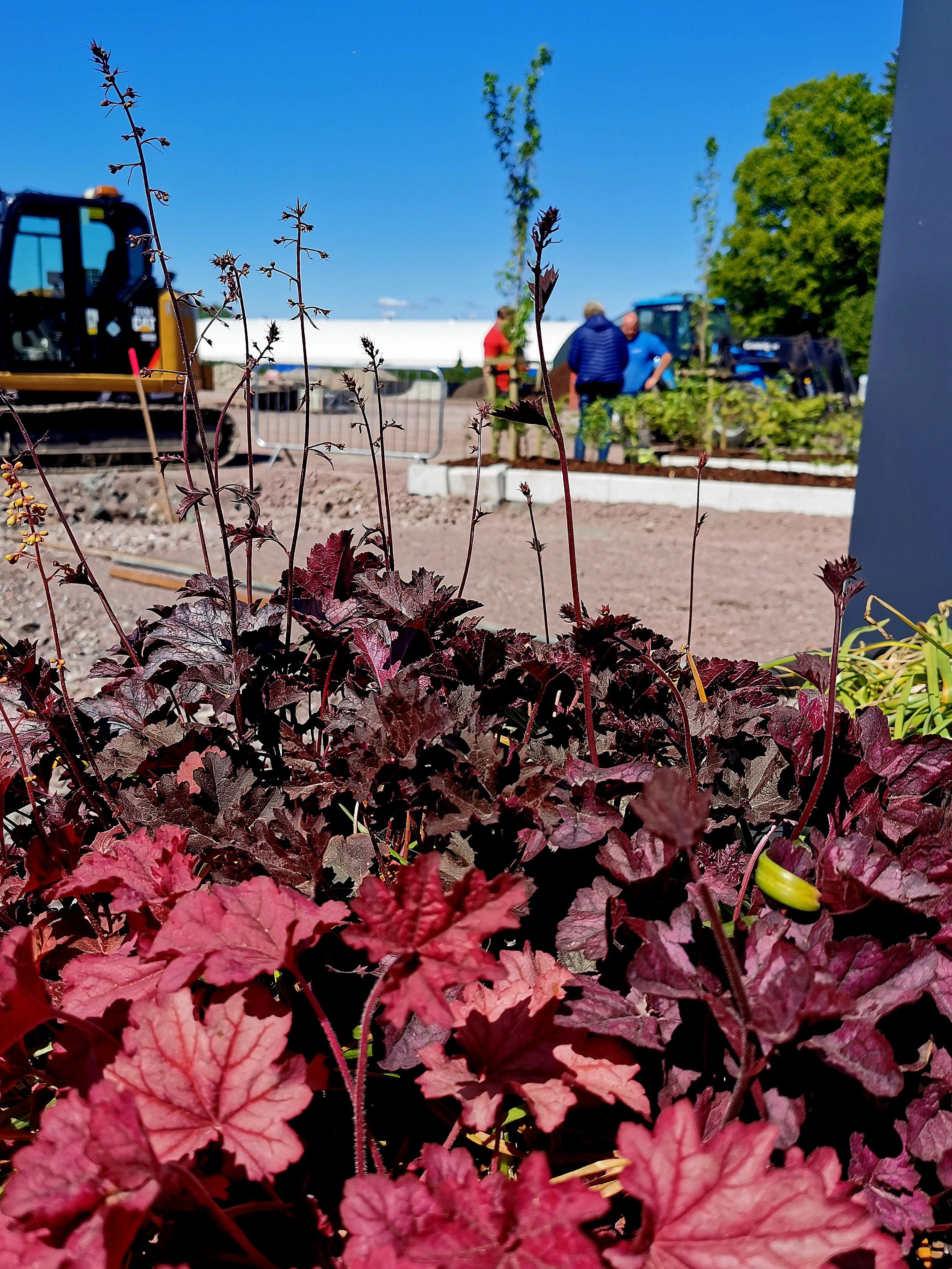 IMG 20200529 120358