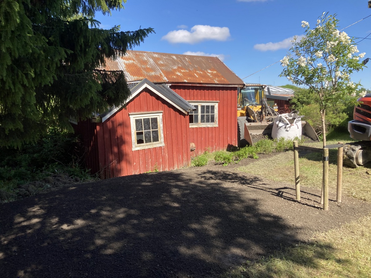 6 IMG 1624