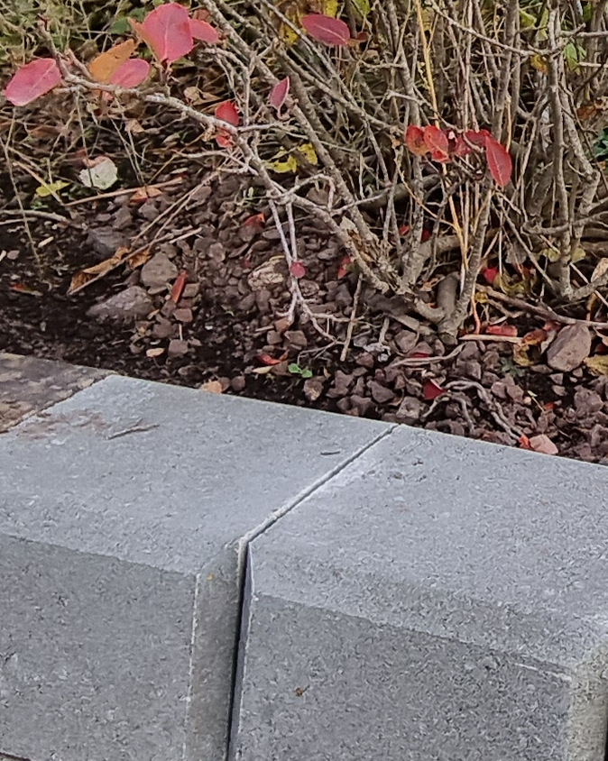 20231019 095345