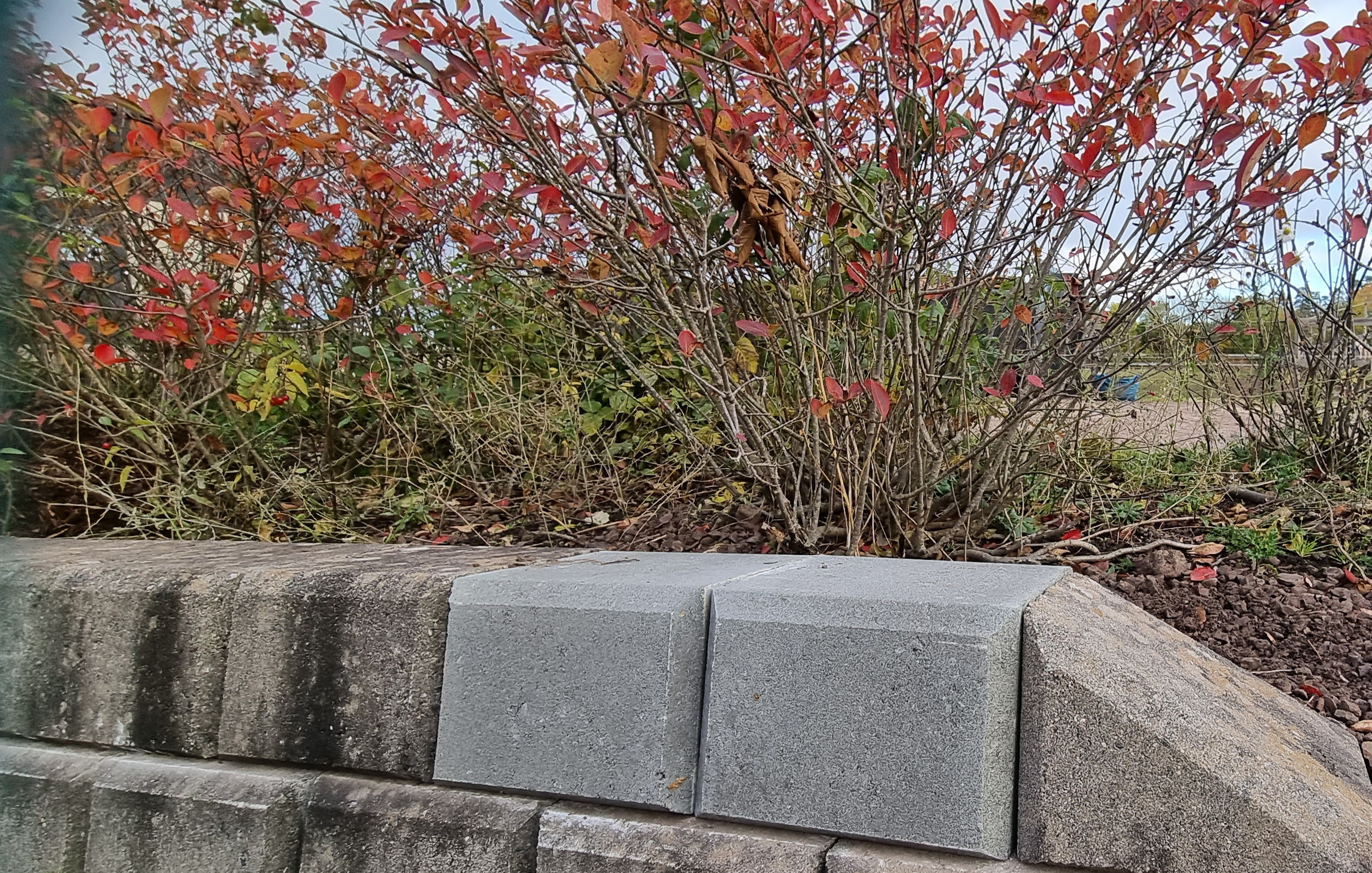 20231019 095348